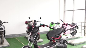 2 wheeled High Speed Electric Scooter for Adults 1000W electric scooter1