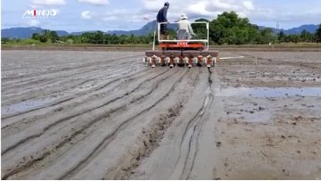 Planter for seeder machine