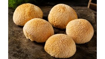 Lion's Mane Mushroom Foods