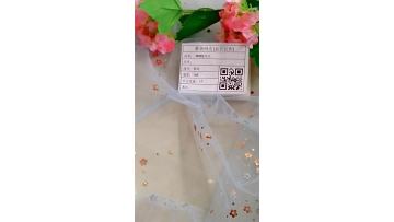 Nylon Mesh Fabric