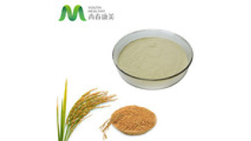 GMP Quality Rice Bran Extract Ferulic acid Powder1