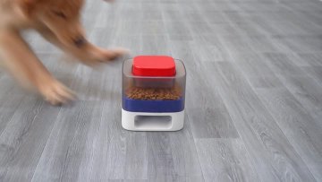 Square pet fun feeder for dog