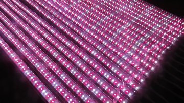 T8 LED Grow Light AC220V 10W 12W 18W 22W 20W 30W 36W 48WFull Spectrum Phyto Greenhouse Hydroponic Farm Flower Plant Growth Light1