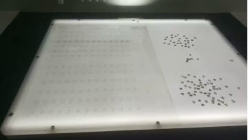 Diamond-accented luxury watch strap