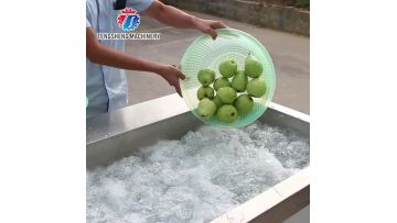 TS-X300M Fruit Vegetable Washer bell pepper Washing Machine