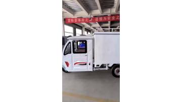 Tricycle cargo cart with double doors