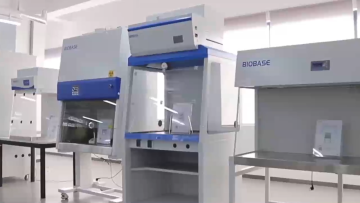 BIOBASE China Table Top Vacuum Freeze Dryer BK-FD10S with Cheap Price,Small Continuous Freeze Dryer1