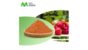 Organic Food Supplement Manufacturer Wholesale Vitamin C Organic Acerola Cherry Extract Powder1