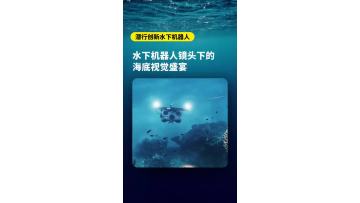 A visual feast through the lens of an underwater drone! Come dive into the ocean depths with CHASING Innovation and witness the breathtaking underwater wonderland!