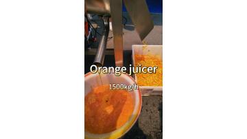 Orange Juicer