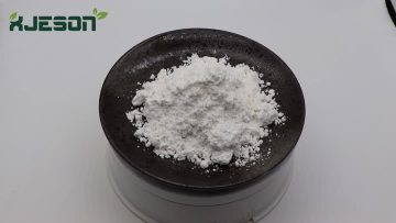 Saw Palmetto Extract