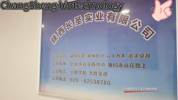 Company promotional video