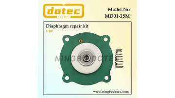 DH25M Diaphragm Repair Kit