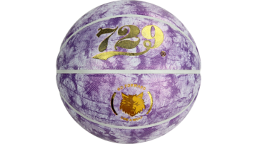 729 SP-7251 Sports Professional Basketball
