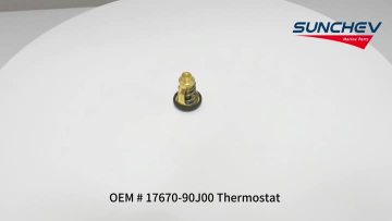 17670-90J00 Thermostat 