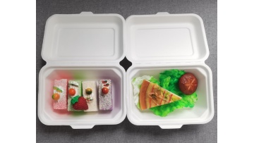 Biodegradable Sugarcane Packaging 600ml Clamshell 