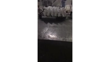CAUSTIC SODA PEARL PACKING .mp4