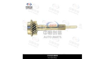 Transmission Shaft
