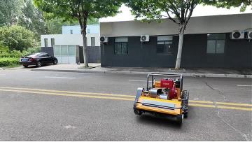 800CRemote Control Lawn Moerw