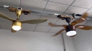 Ceiling Fan