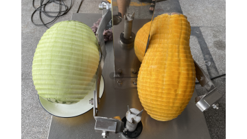 ST-XP1 vegetable peeling machine