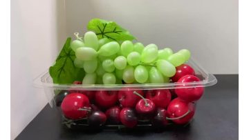 Salad Tub Container