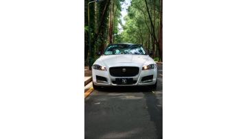 PM01-P  Metal White Car Wrap