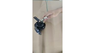 Snail Trumpet