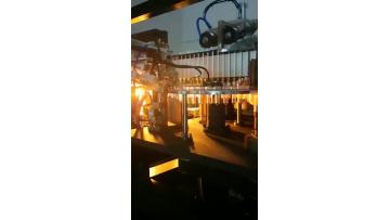 PET mineral water bottle blowing machine