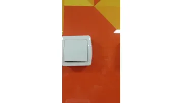 European Standard Surface Mounted Schuko Socket Outlet (S8010)1