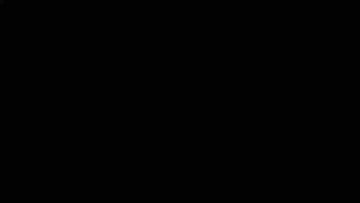 API - A CUSTOMER COMPANY