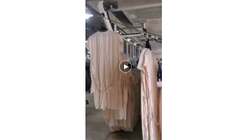 Industrial Steam Finisher For Dress