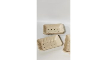 Factory Supplying Biodegradable Mushroom Punnets Punnet1