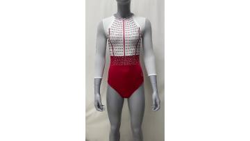 mesh fabric gymnastic leotards