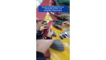 Video 25