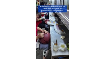 Video 1