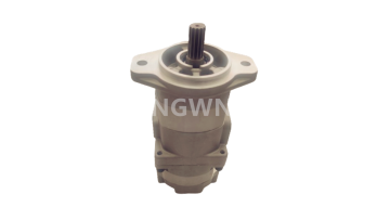 D41 gear pump