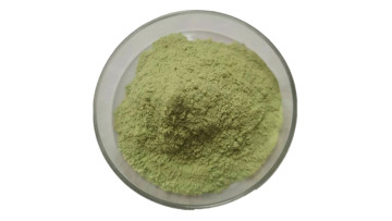 Natural Water Soluble Barley Grass Juice Powder