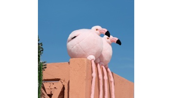 Flamingo/Flamingo Home plush decorative pillow