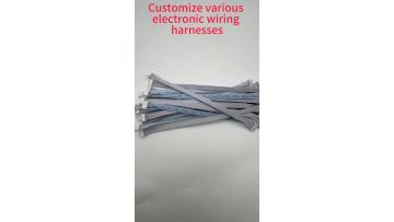 Professional custom wiring harness 2.1