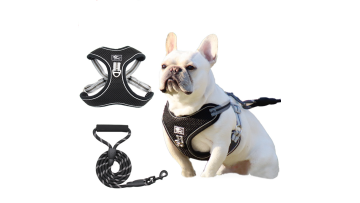 dog harness and leash set