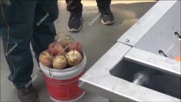 Apple washing Machine