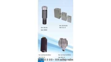 Safety Valve D559B-8M