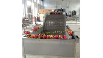 Pitaya Fruit Bubble Washing Machine for Fruits and Vegetables Cleaning and Drying Line1