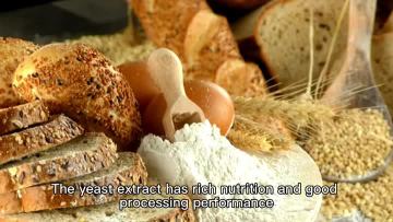 Application of yeast extract in meat products