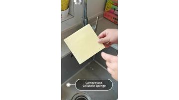 clean in one flush
