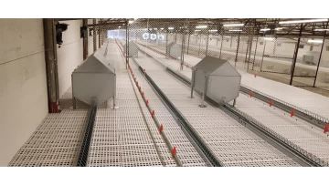 Female chain feeding system