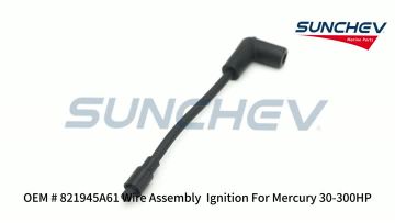 821945A61 Wire Assembly  Ignition