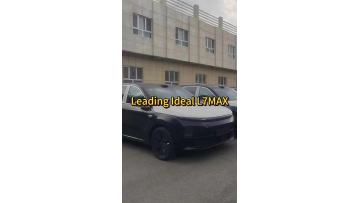 Leading ideal L6 Max