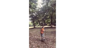 skateboard swing